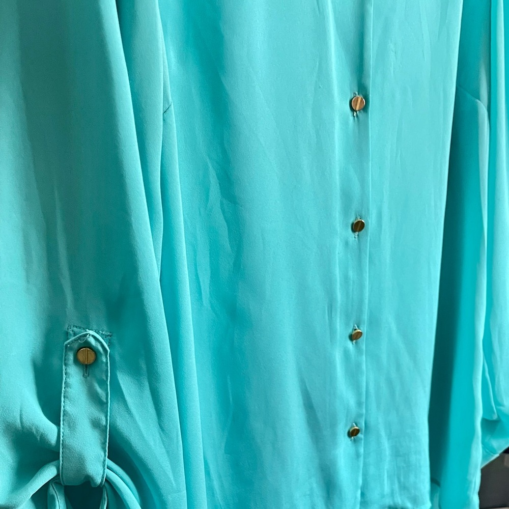 The Limited button down blouse - Picture 8 of 11